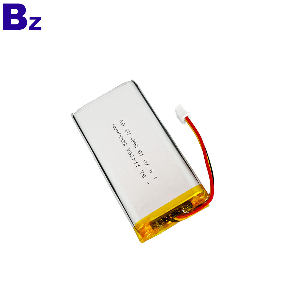 鋰聚合物電池