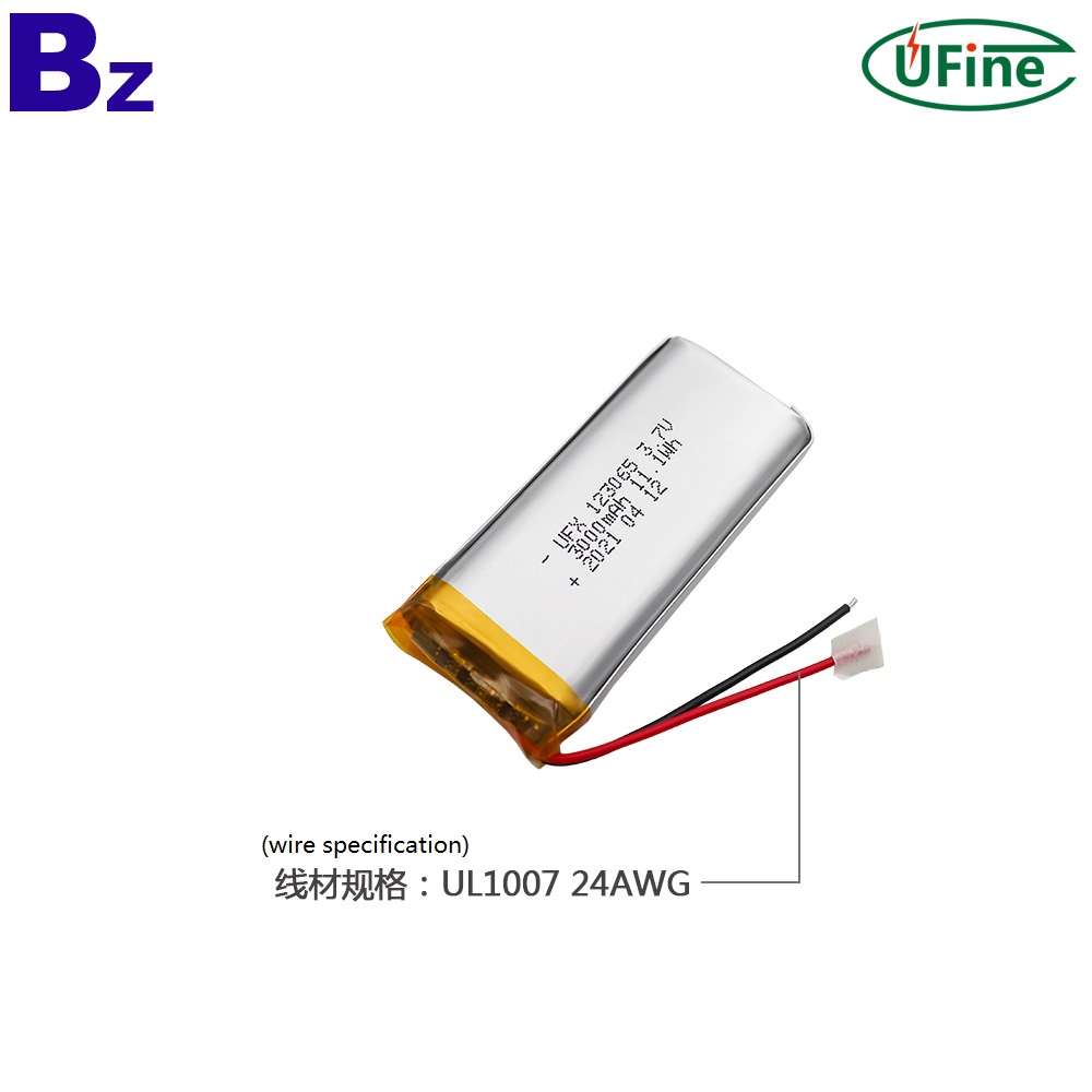 123065_3000mAh_3.7V_lithium_polymer_battery_1