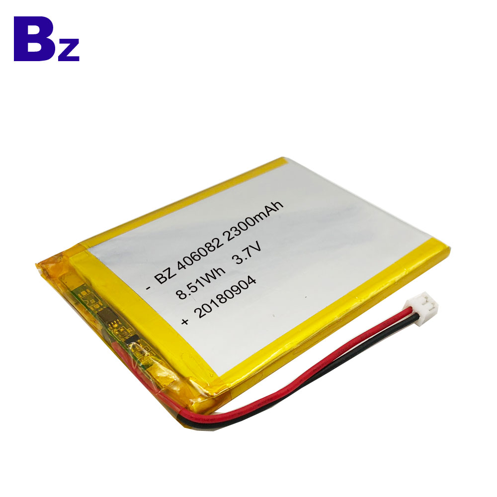 Chinese Lithium Battery Factory